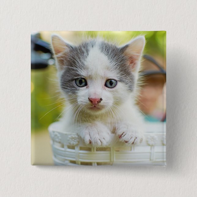 Kitten Rides A Bike 15 Cm Square Badge (Front)