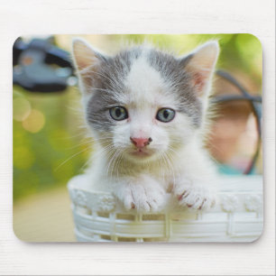 Kitten Rides A Bike Mouse Pad