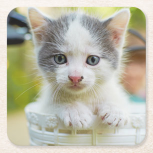 Kitten Rides A Bike Square Paper Coaster