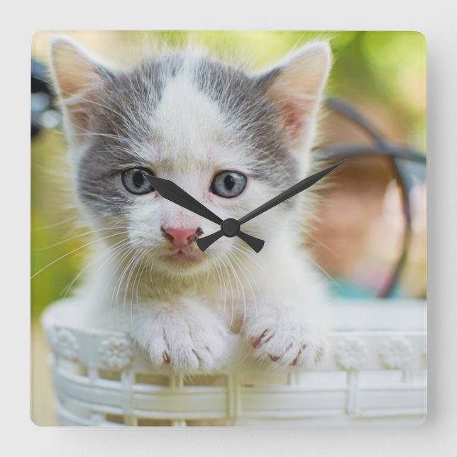 Kitten Rides A Bike Square Wall Clock (Front)
