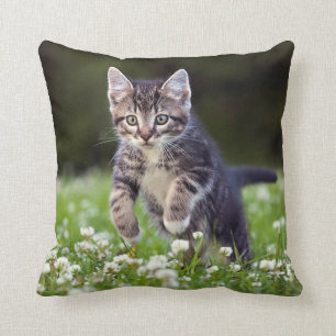 Kitten Running Through Clover Cushion