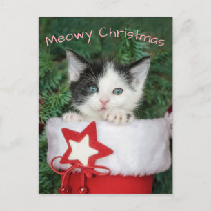 Kitten Santa Claus Boot Stocking Meowy Christmas - Holiday Postcard