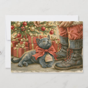 Kitten Santa Claus Christmas Holiday Card