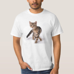 Kitten Shirt