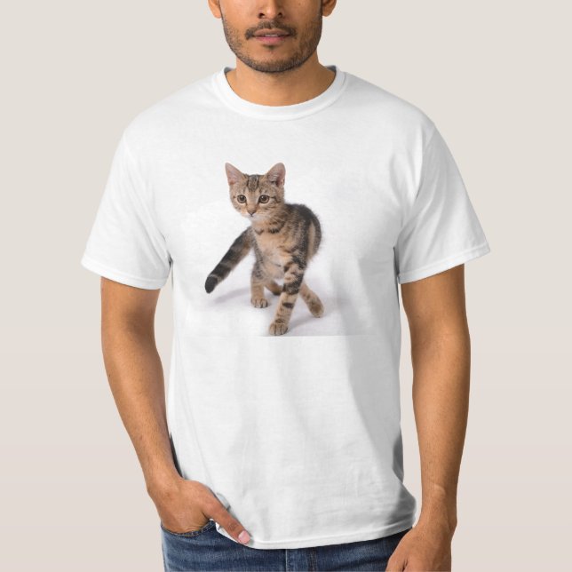 Kitten Shirt (Front)
