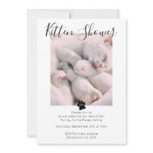 Kitten Shower Cute Personalised Cat Adoption