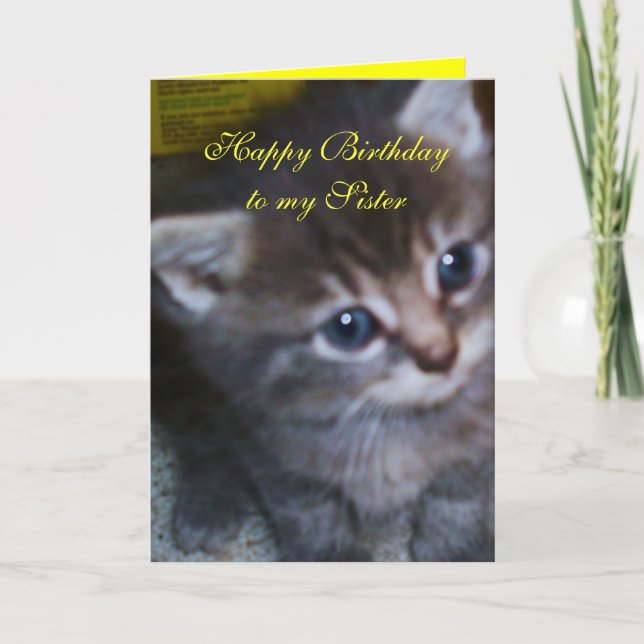 KITTEN, SISTER BIRTHDAY CARD (Front)