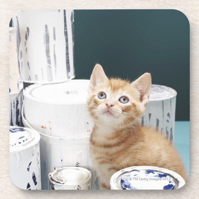 Kitten sitting amongst paint tins coaster (Front)