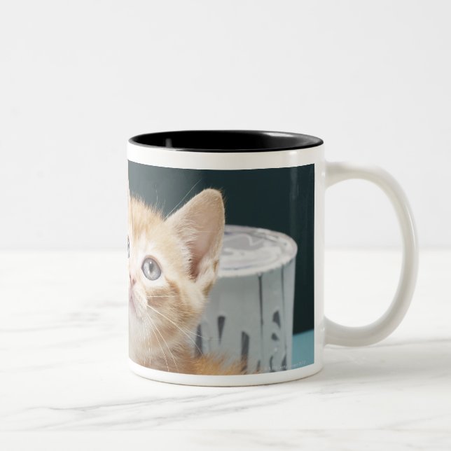 Kitten sitting amongst paint tins Two-Tone coffee mug (Right)