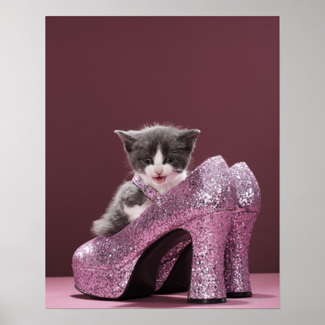 Kitten sitting in glitter shoes poster (Front)