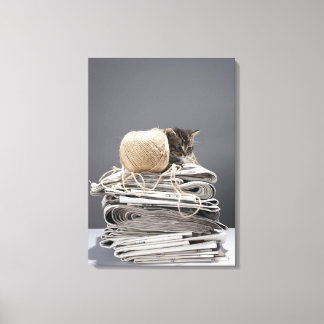 Kitten sitting on pile of newspapers canvas print