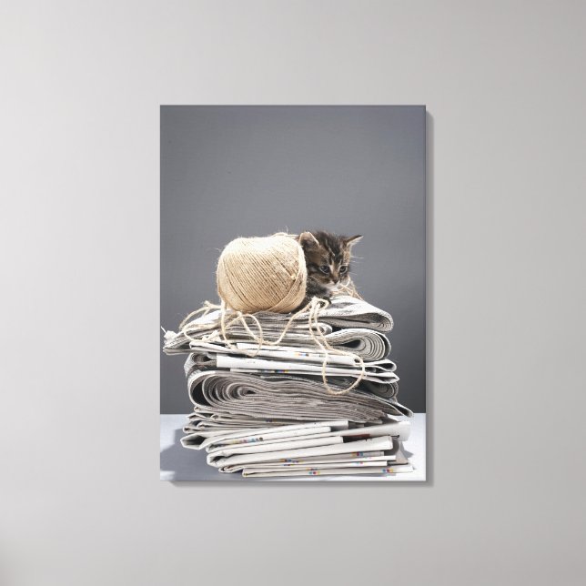 Kitten sitting on pile of newspapers canvas print (Front)