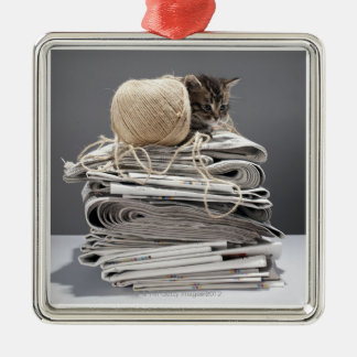 Kitten sitting on pile of newspapers metal tree decoration