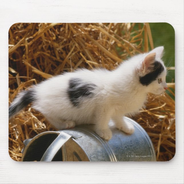 Kitten sitting on top of watering can mouse pad (Front)