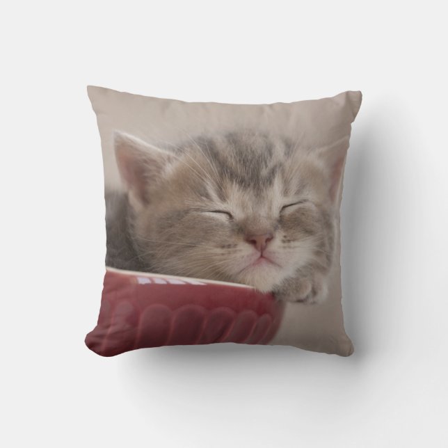 Kitten Sleeping In A Bowl Cushion (Front)