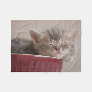 Kitten Sleeping In A Bowl Fleece Blanket