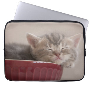 Kitten Sleeping In A Bowl Laptop Sleeve