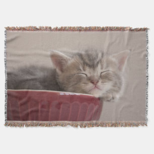 Kitten Sleeping In A Bowl Throw Blanket