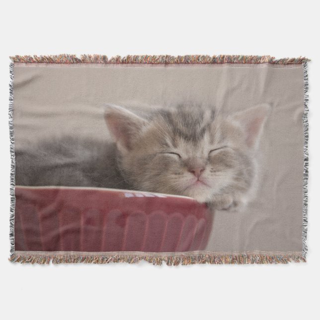 Kitten Sleeping In A Bowl Throw Blanket (Front)