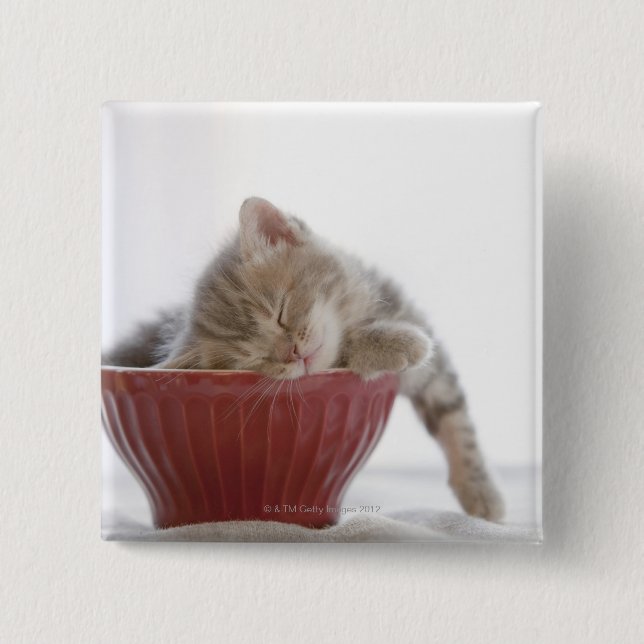 Kitten Sleeping in Bowl 15 Cm Square Badge (Front)