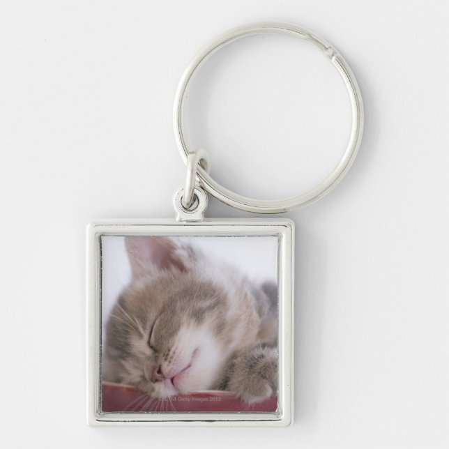 Kitten Sleeping in Bowl 2 Key Ring (Front)