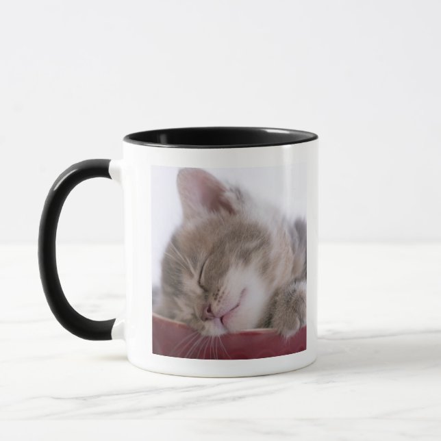 Kitten Sleeping in Bowl 2 Mug (Left)