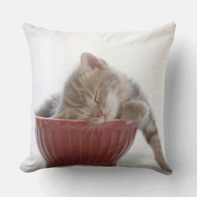 Kitten Sleeping in Bowl Cushion (Front)