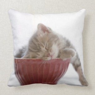 Kitten Sleeping in Bowl Cushion