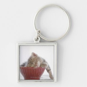 Kitten Sleeping in Bowl Key Ring