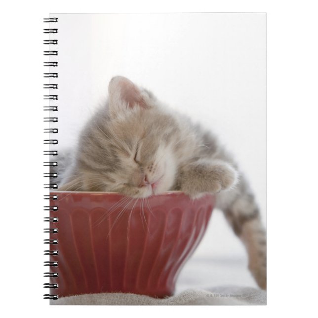 Kitten Sleeping in Bowl Spiral Notebook (Front)