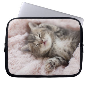 Kitten Sleeping Laptop Sleeve