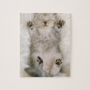 Kitten Sleeping on a White Fluffy Carpet, High Jigsaw Puzzle