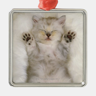 Kitten Sleeping on a White Fluffy Carpet, High Metal Tree Decoration
