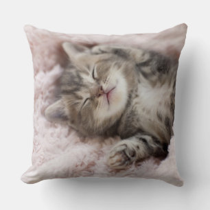 Kitten Sleeping on Towel Cushion