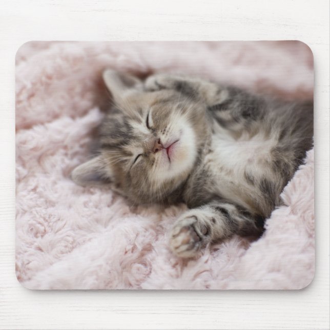 Kitten Sleeping on Towel Mouse Pad (Front)