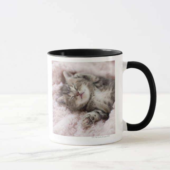 Kitten Sleeping on Towel Mug (Right)