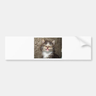 Kitten Smile Bumper Sticker