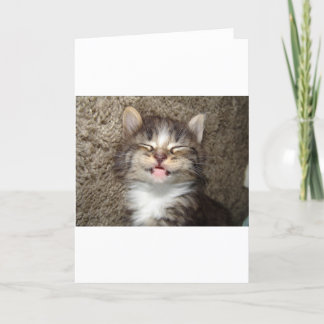 Kitten Smile Card
