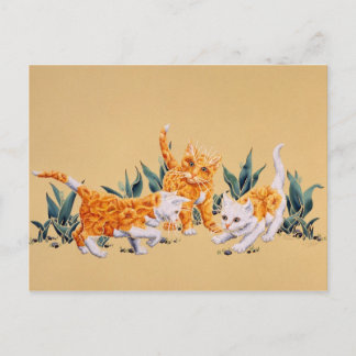 Kitten Spring Postcard