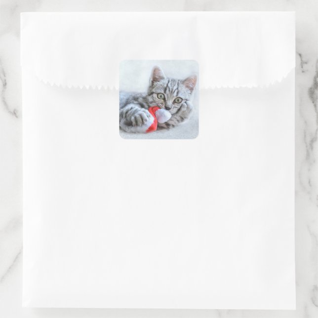 Kitten Square Sticker (Bag)