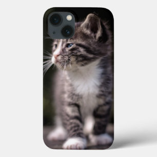 Kitten Standing Tall iPhone 13 Case