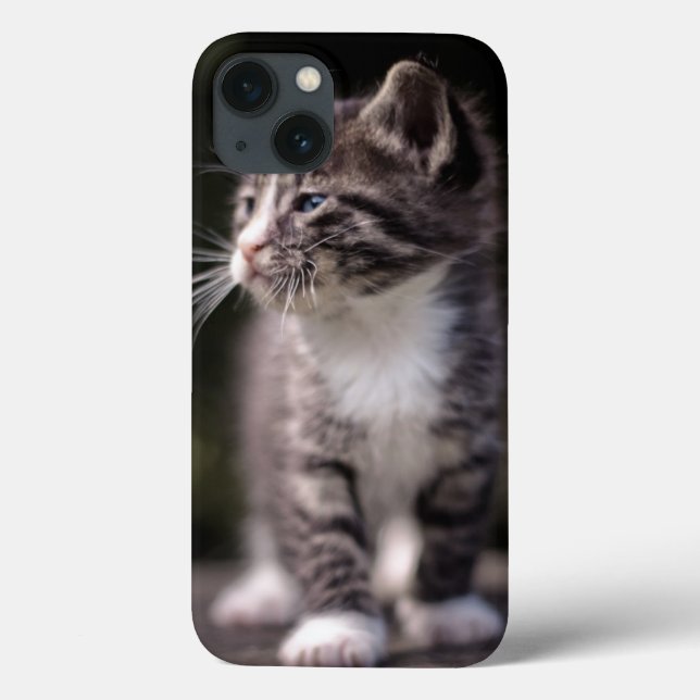 Kitten Standing Tall Case-Mate iPhone Case (Back)