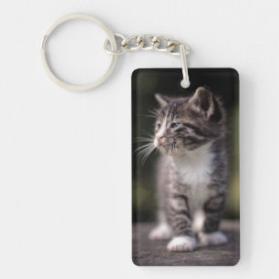 Kitten Standing Tall Key Ring