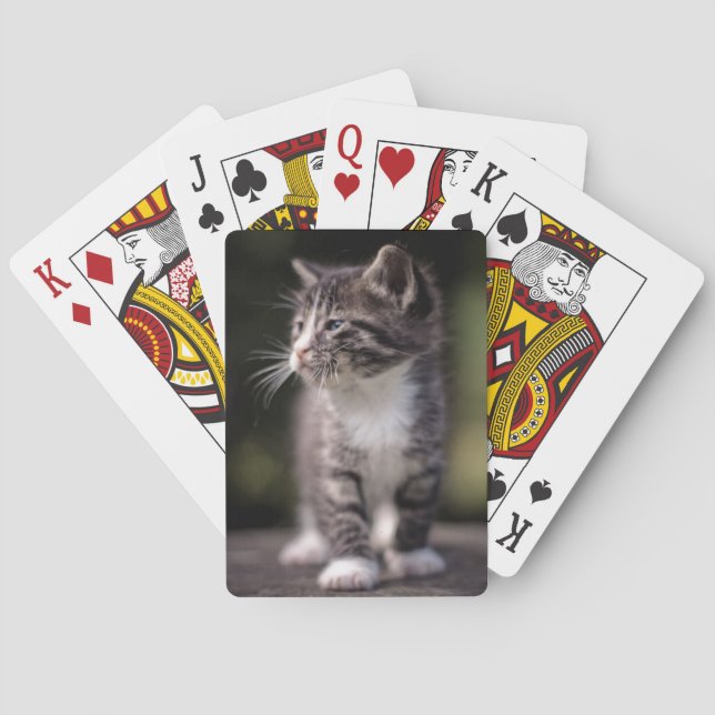 Kitten Standing Tall Playing Cards (Back)