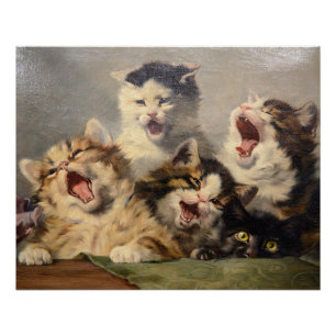 Kitten Symphony by Julius Adam II Poster