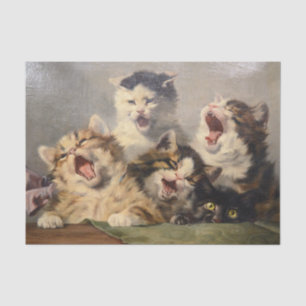 Kitten Symphony by Julius Adam II Tissue Paper