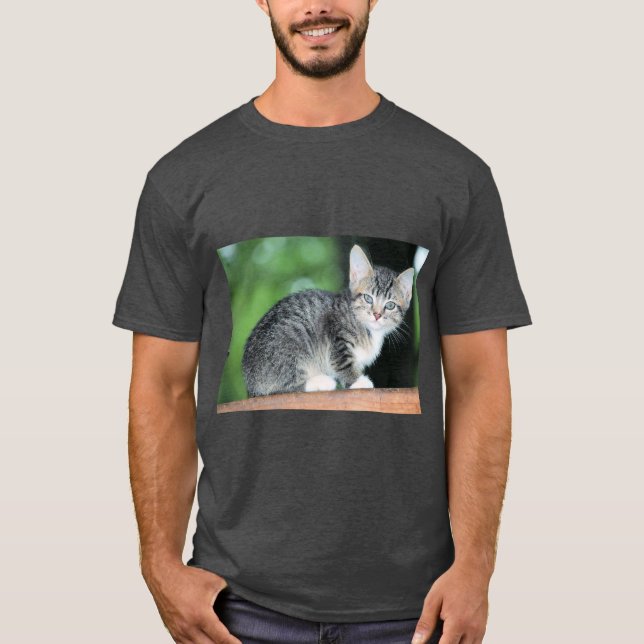 Kitten T-Shirt (Front)