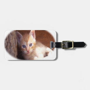 Kitten t-shirts and super mix luggage tag