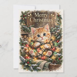 Kitten Tangled in Lights Christmas Card