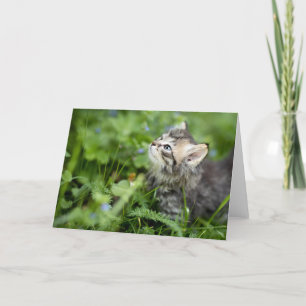 Kitten Thank You Card